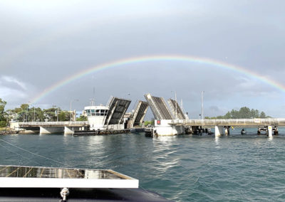 swansea bridge