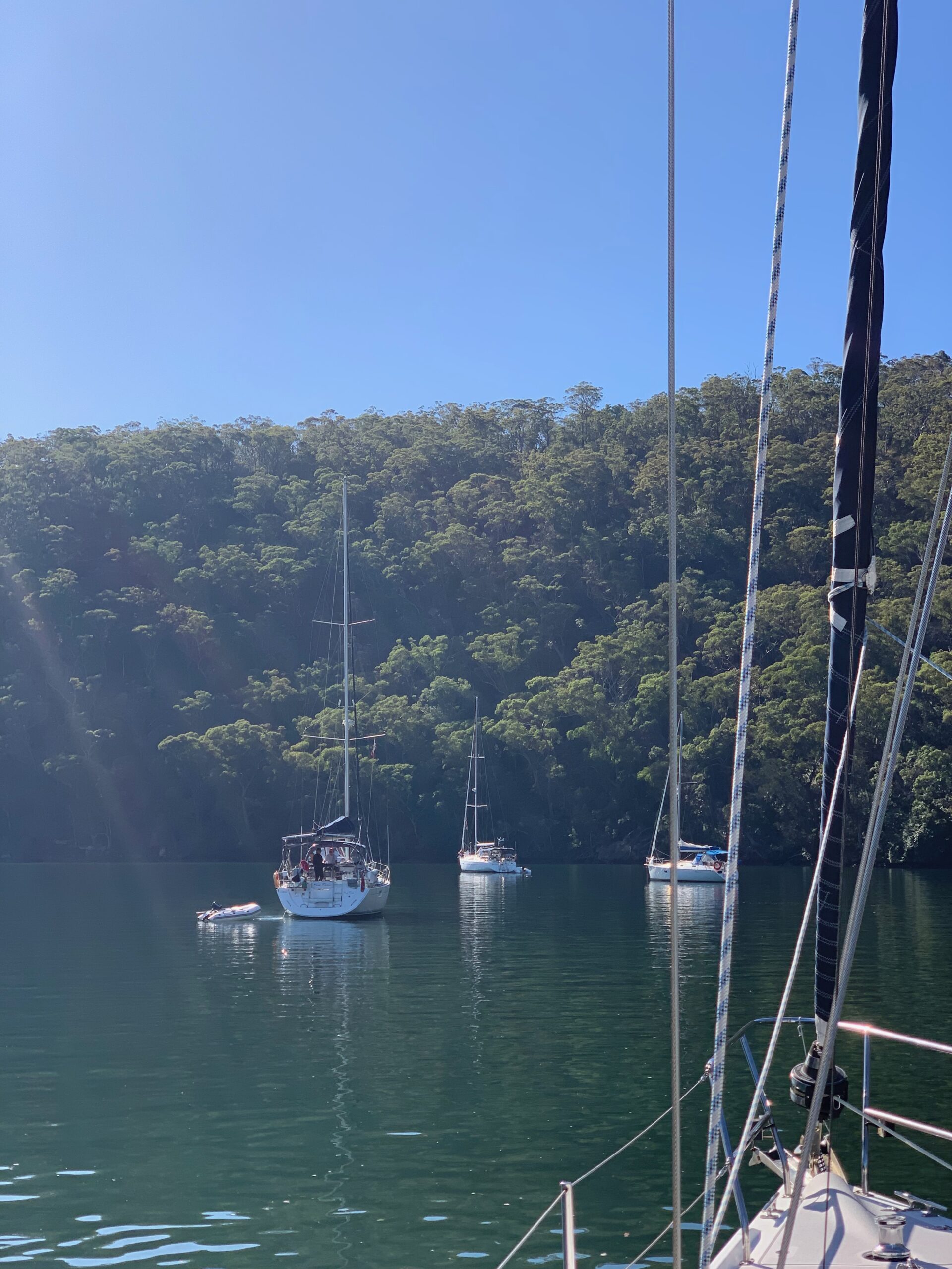 King's Birthday Cruise