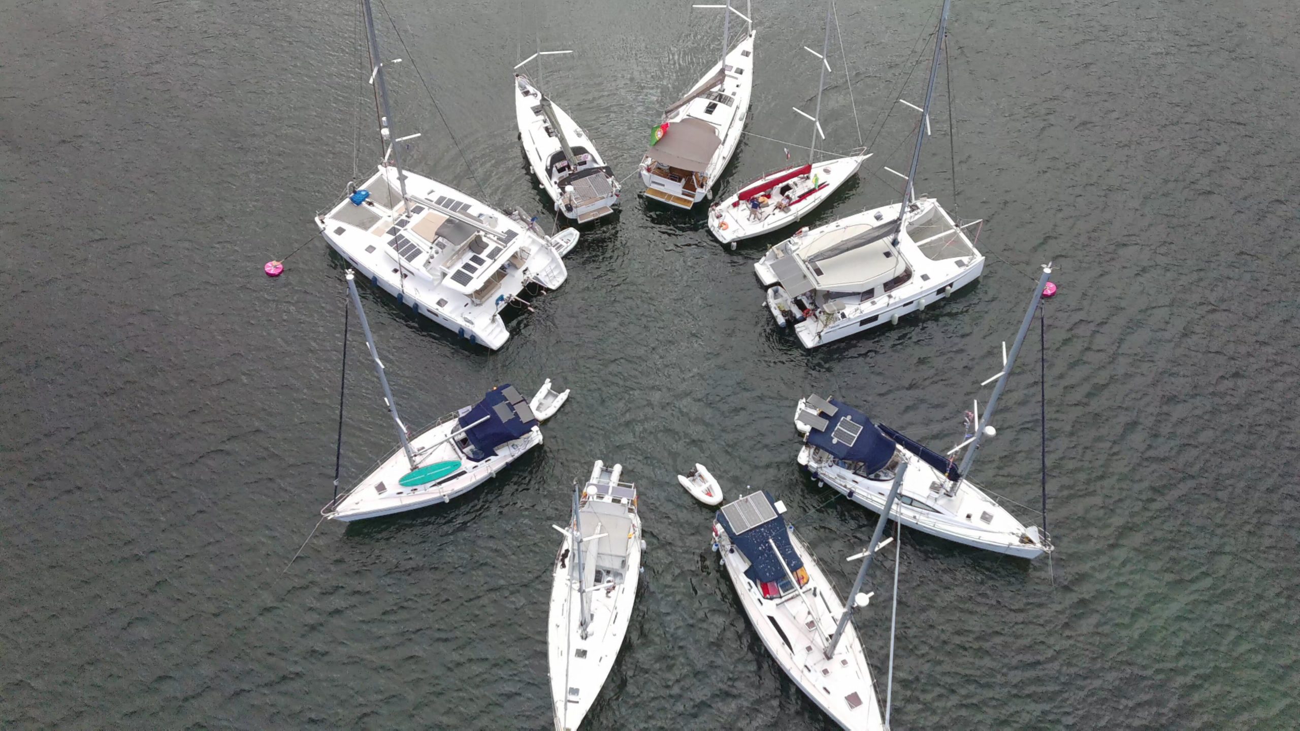 King's Birthday Cruise