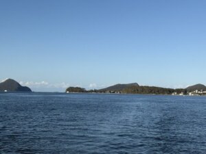 IMG_6335